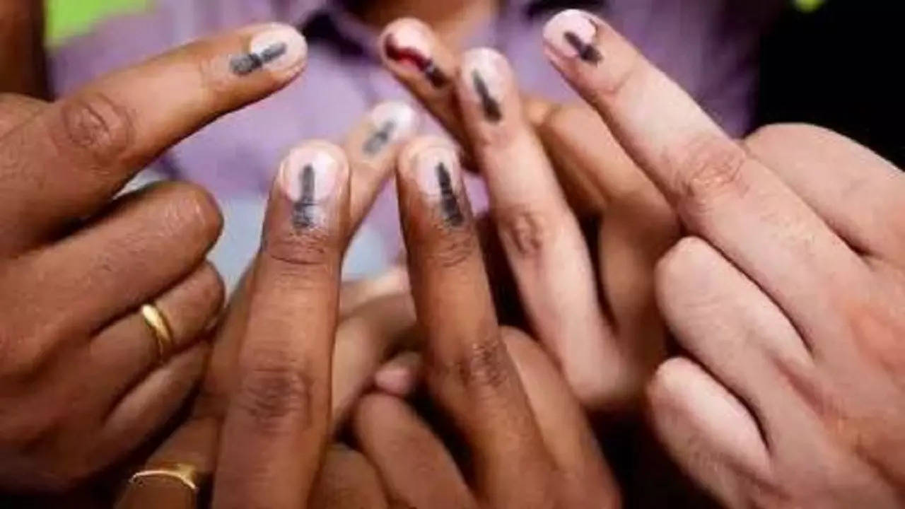 Voting in Madhya Pradesh