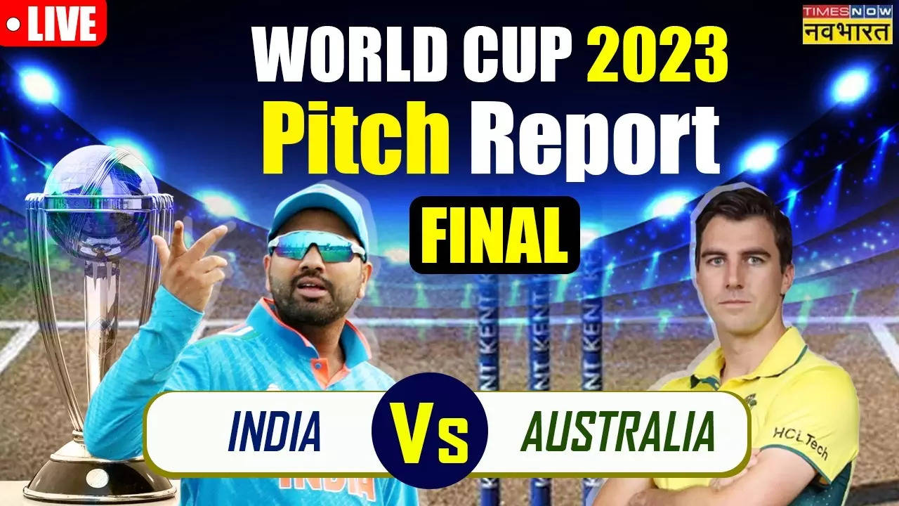 World Cup Final, IND vs AUS Pitch Report