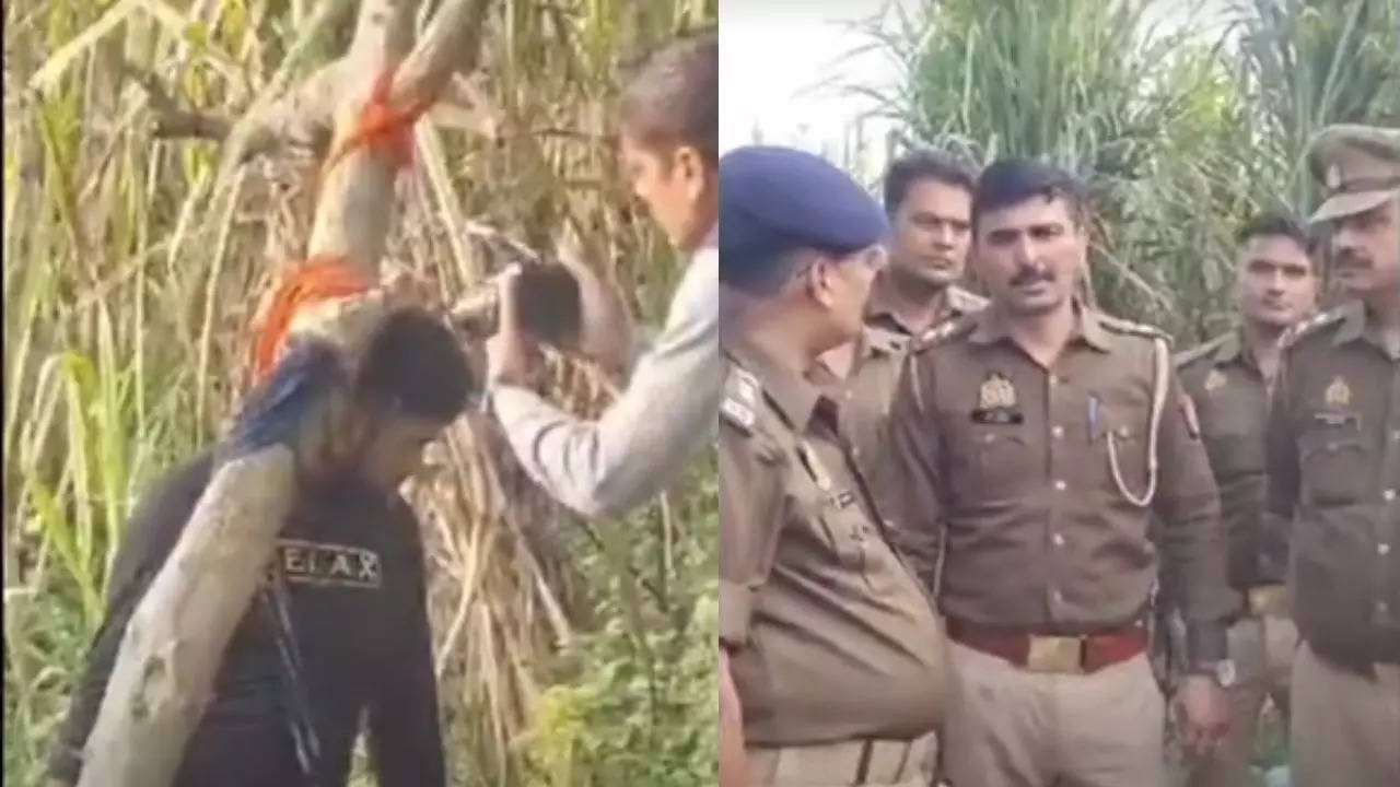 Meerut Man Killed His Wife Informed in laws on Call then Suicide by Hanging from a tree