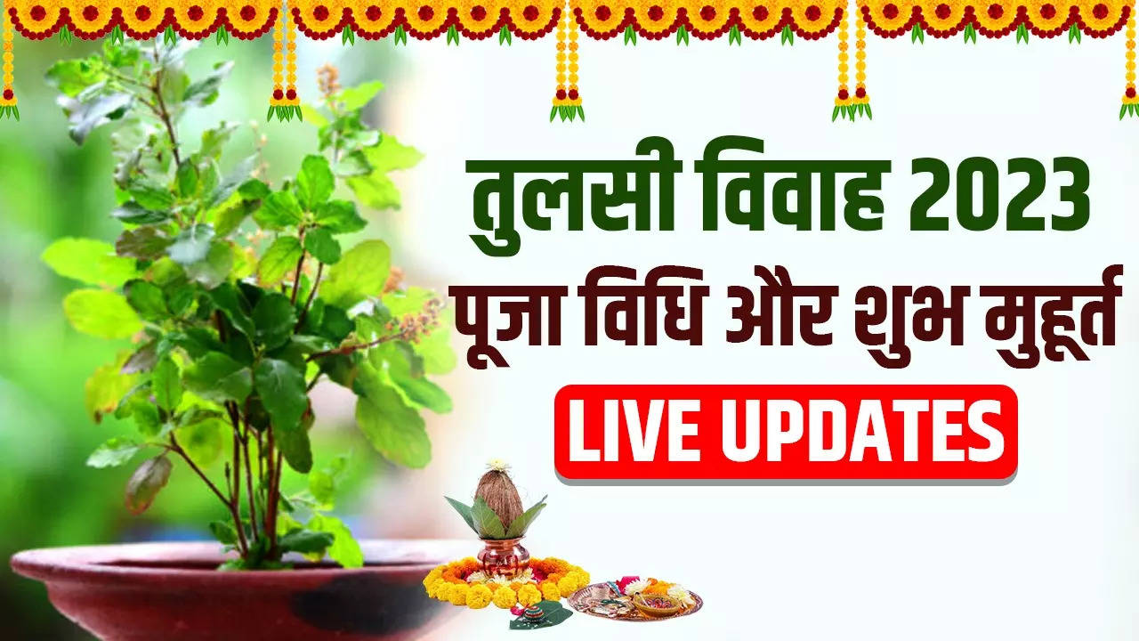 Tulsi Vivah 2023 Puja Vidhi Live Updates: आज तुलसी विवाह का शुभ मुहूर्त क्या रहेगा, यहां जानें पूजा विधि, शुभ मुहूर्त, व्रत कथा सबकुछ