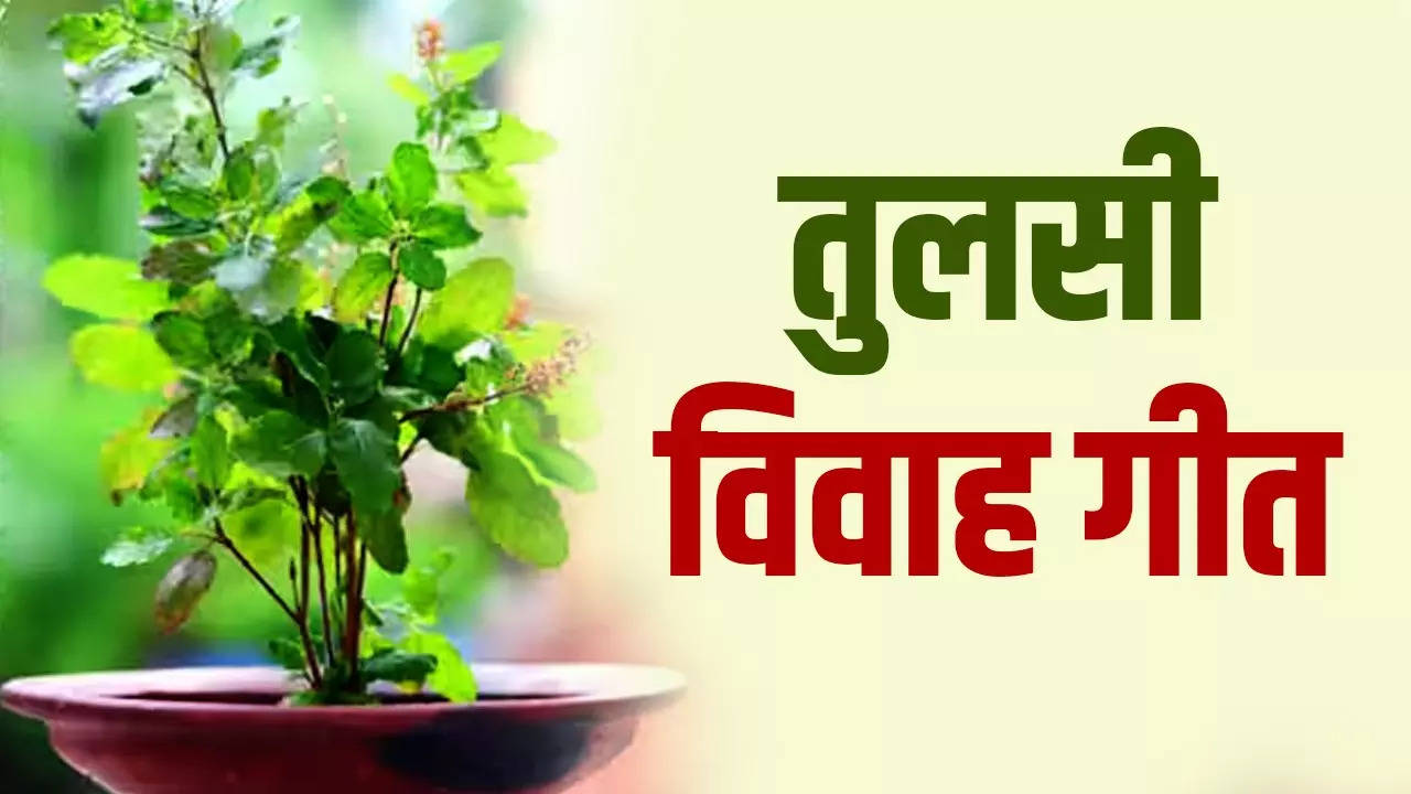 Tulsi Vivah Geet Lyrics In Hindi: तुलसी विवाह के समय जरूर गाएं ये गीत, सुख-समृद्धि की कभी नहीं होगी कमी