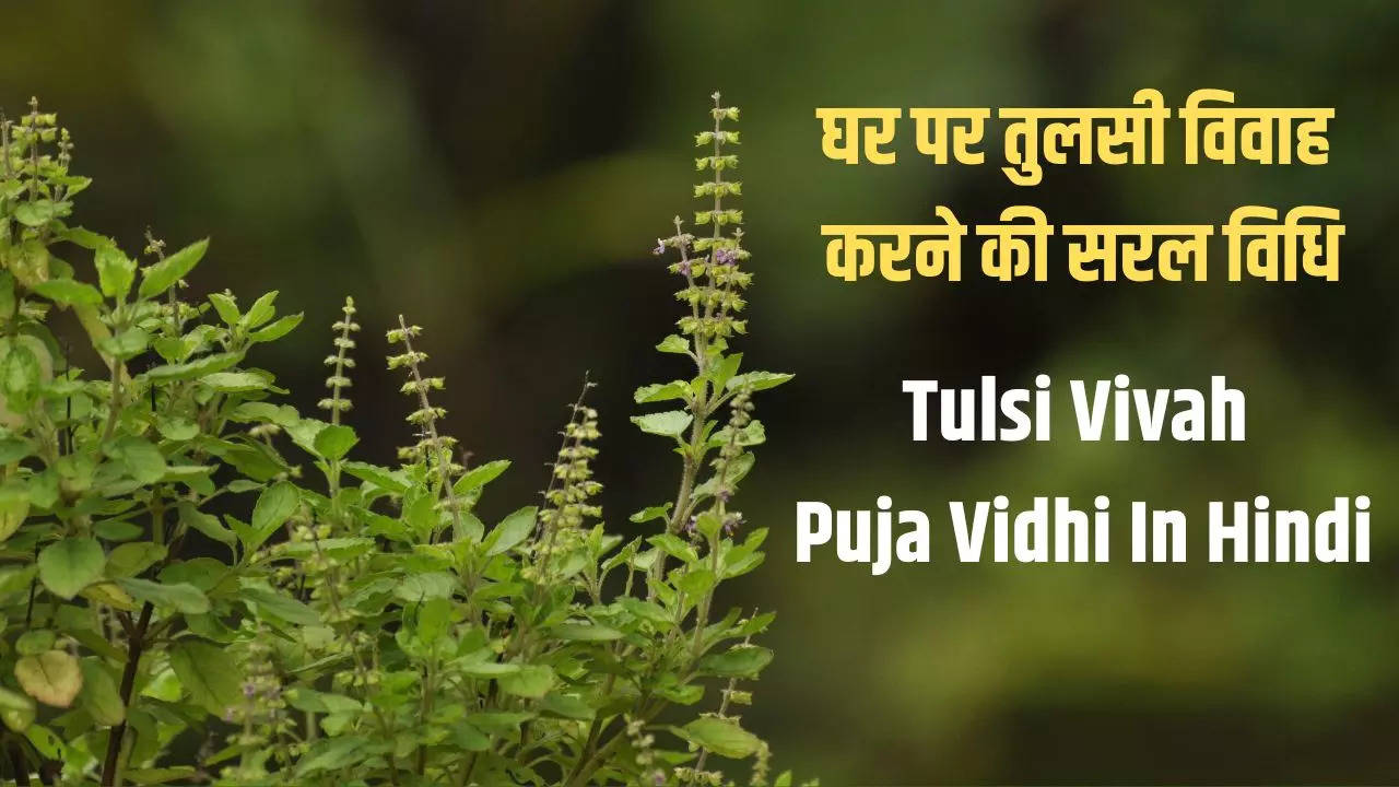 tulsi vivah puja vidhi