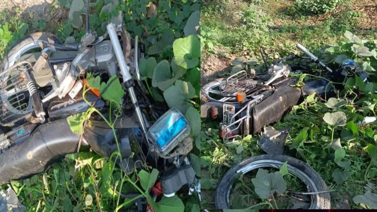 Pilibhit Road Accident overloaded truck collided with bike 3 People Died