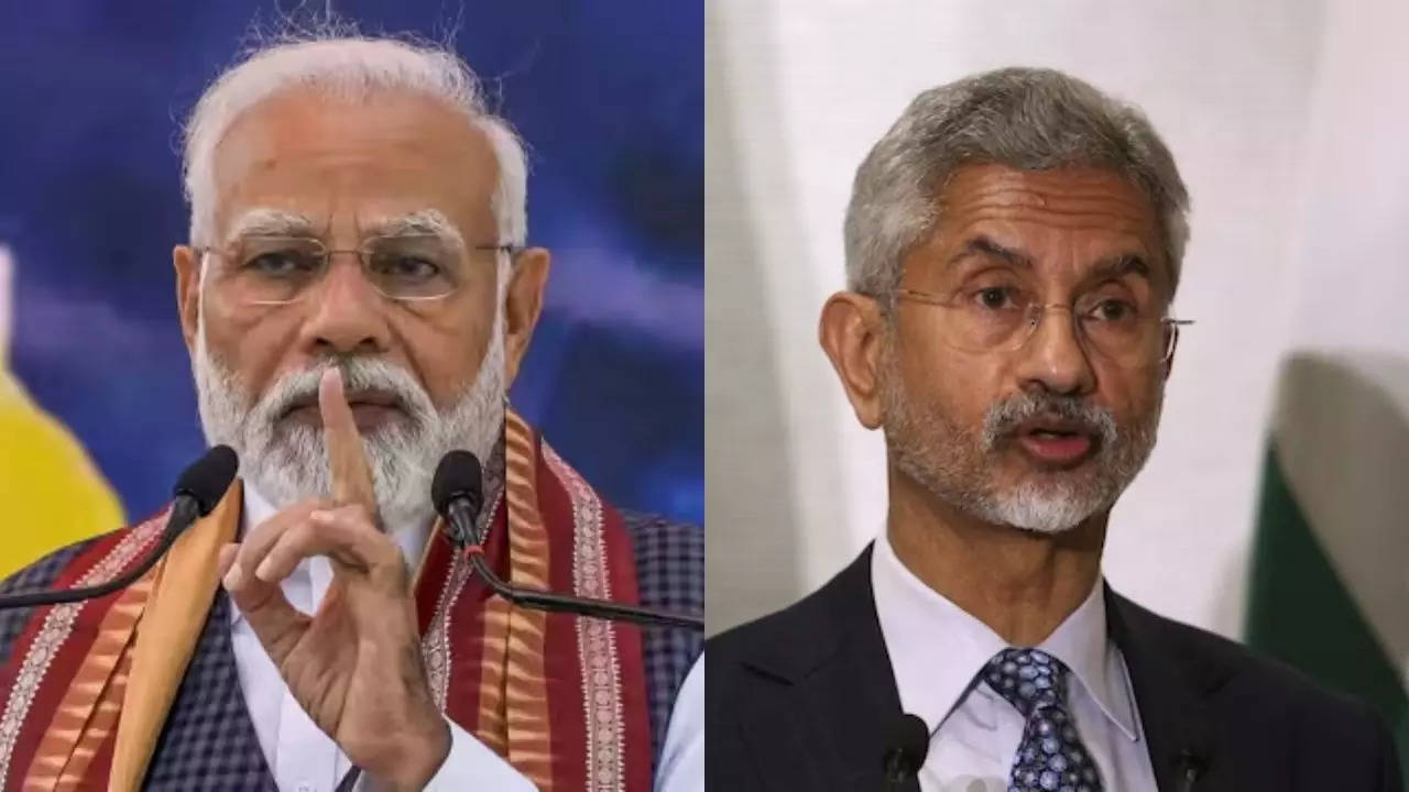 pm and jaishankar