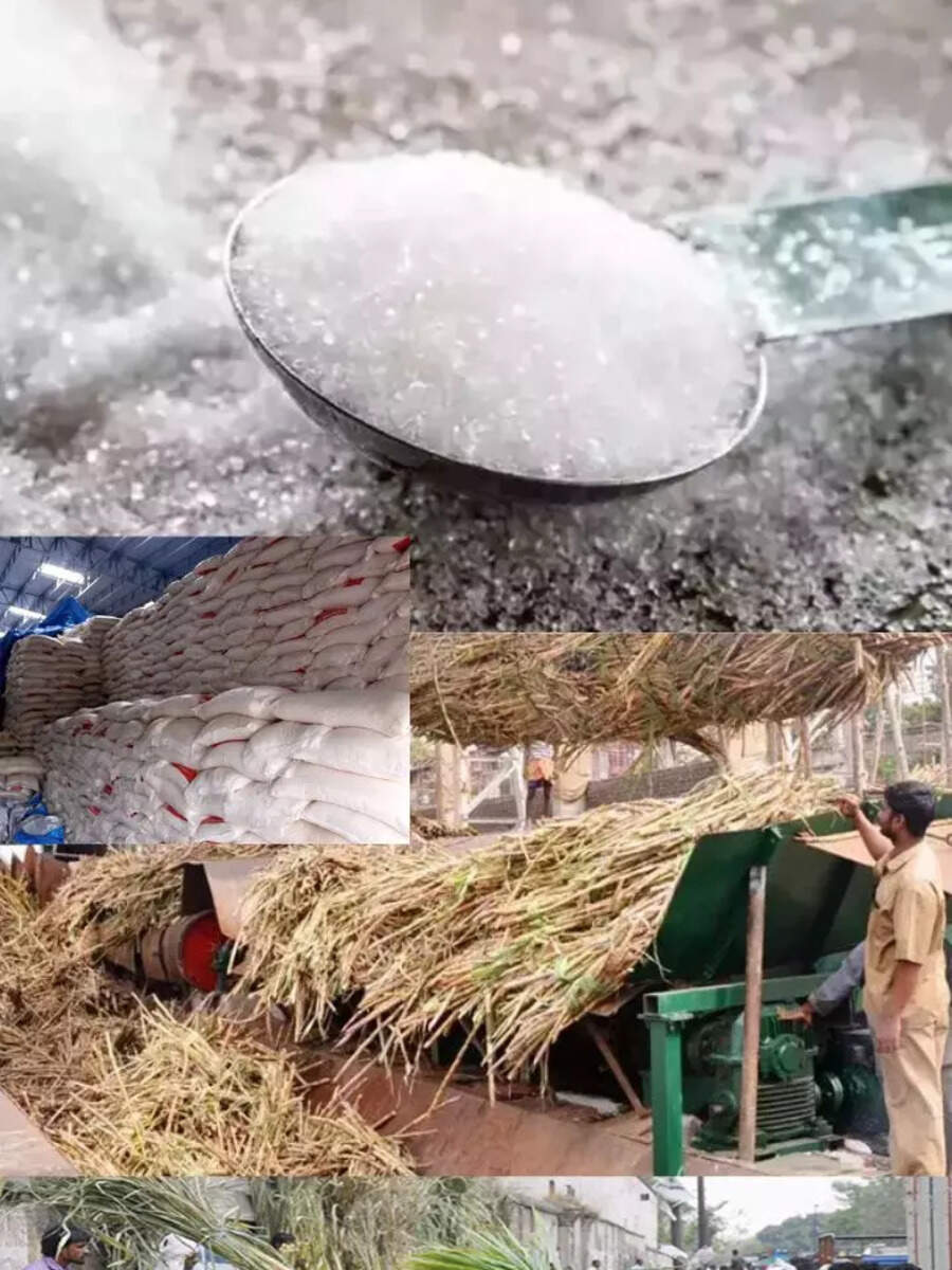 Sugar bowl of the world, Sugar production in India, India rank in sugar