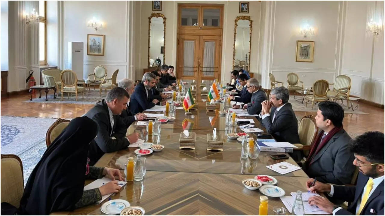 India Iran Foreign Ministry Consultations