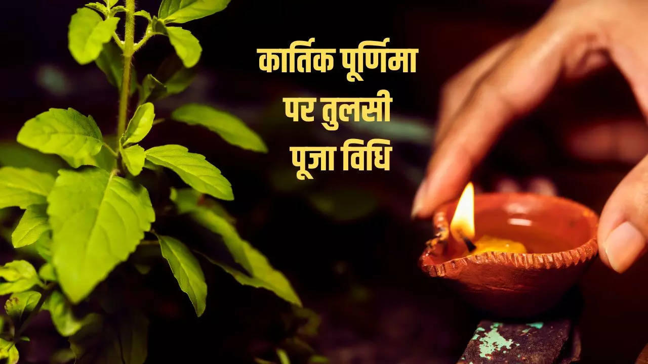 kartik purnima par tulsi puja vidhi