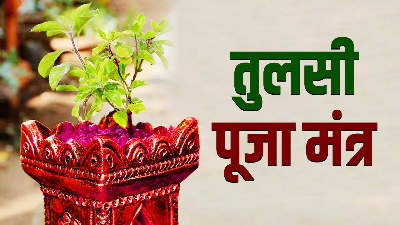 Tulsi Puja Mantra