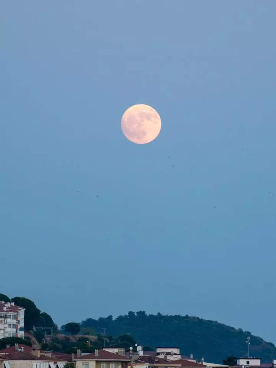 moon-interesting-facts-why-is-moon-sometimes-visible-during-the-day