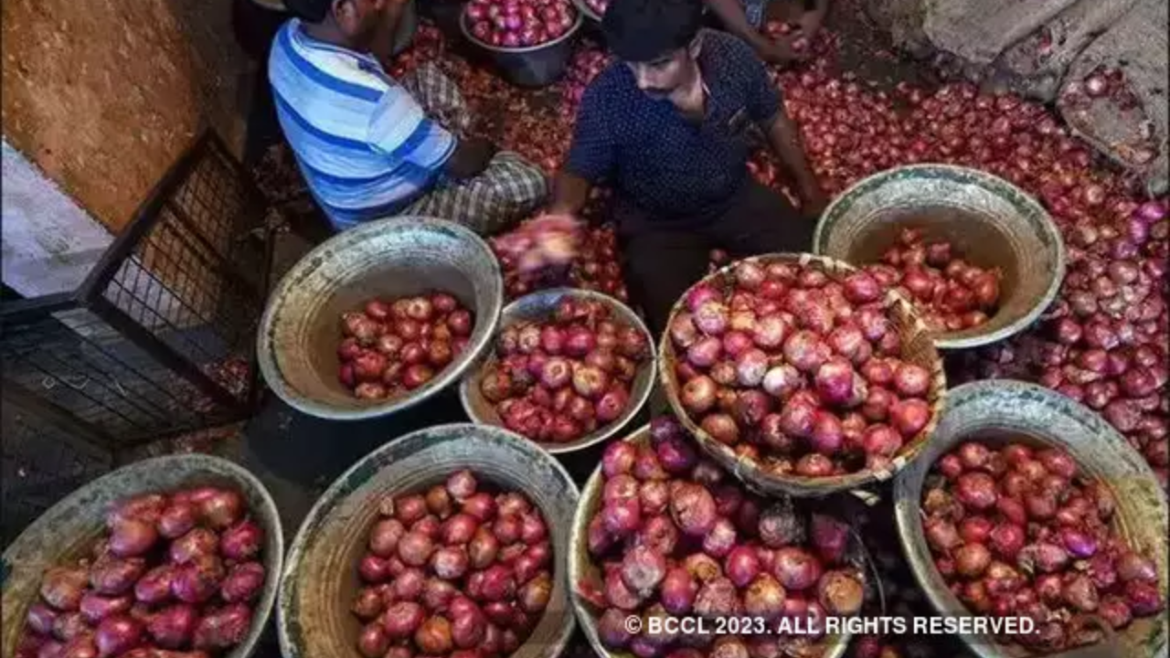 onion exports