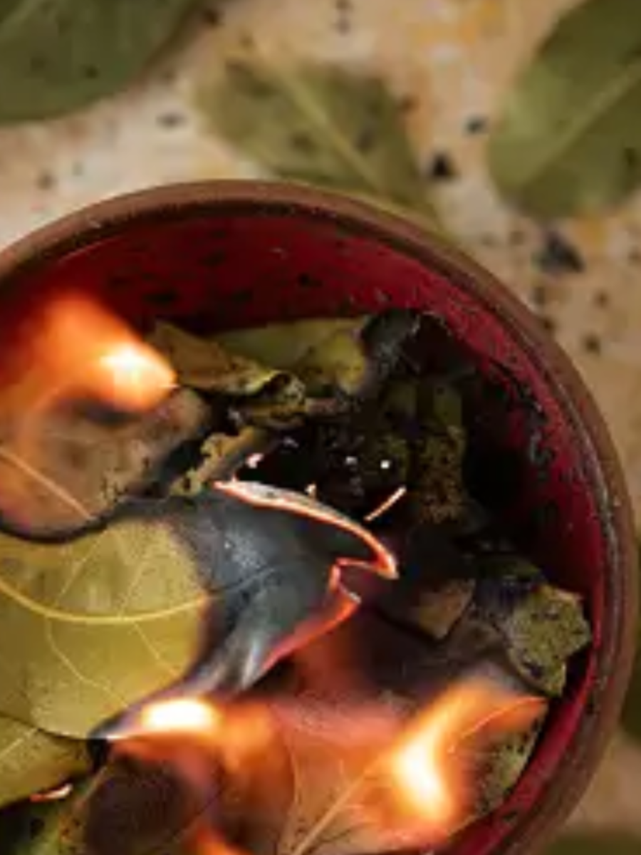 vastu tips burn bay leaves in the kitchen at night for amazing benefits