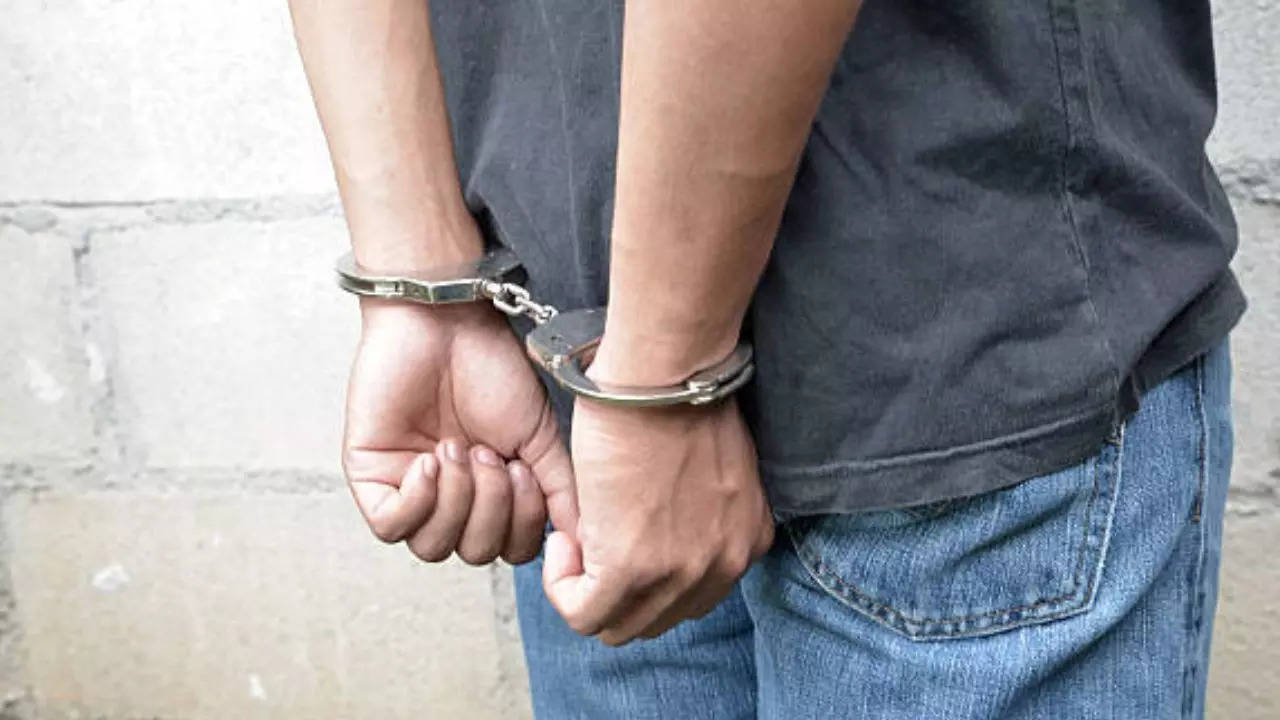 Delhi Police Arrested Two Minor Crooks For Firing at Businessman House in Burari Delhi