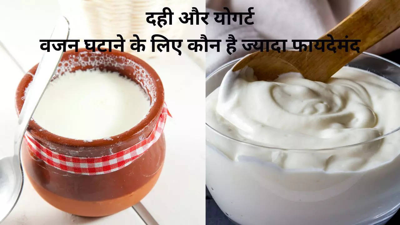 Dahi, Yogurt, ​Weight Loss, ​Weight Loss Tips