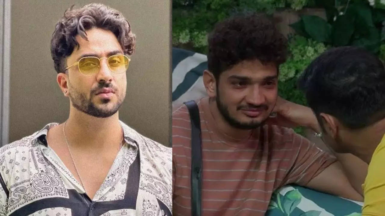 Aly Goni Tweet in Favour of Munawwar Faruqui