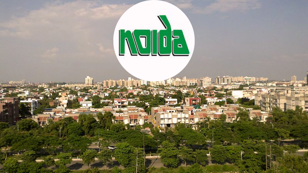 New Noida City establish