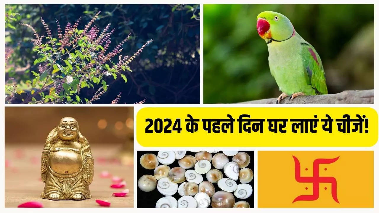 New Year 2024 Vastu Tips