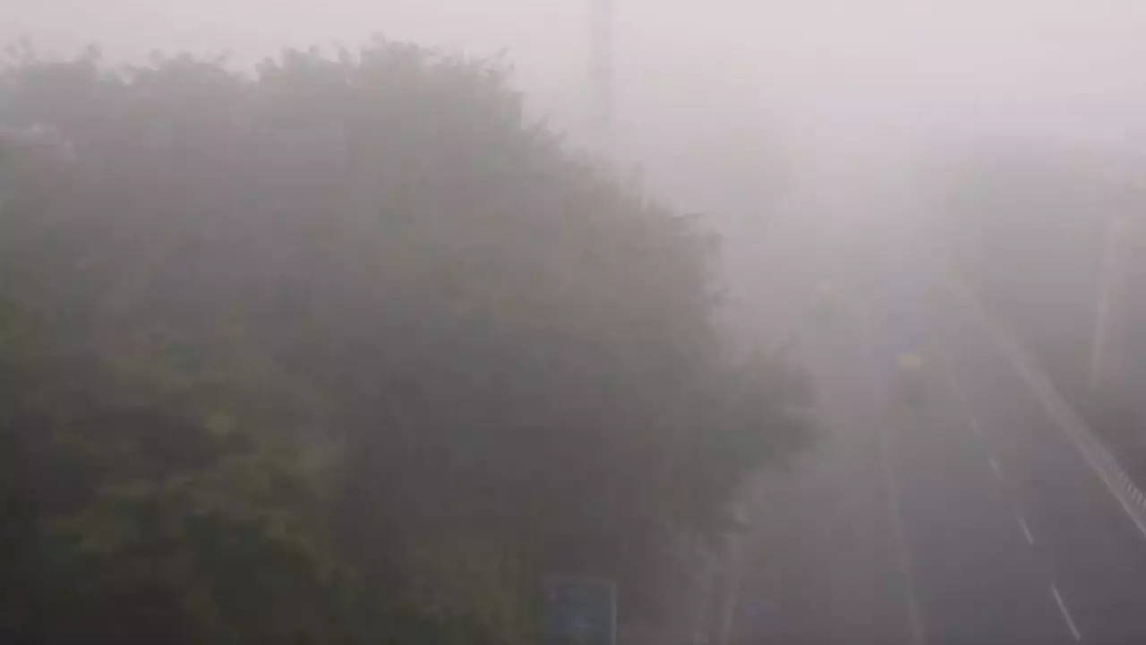 Fog in Delhi