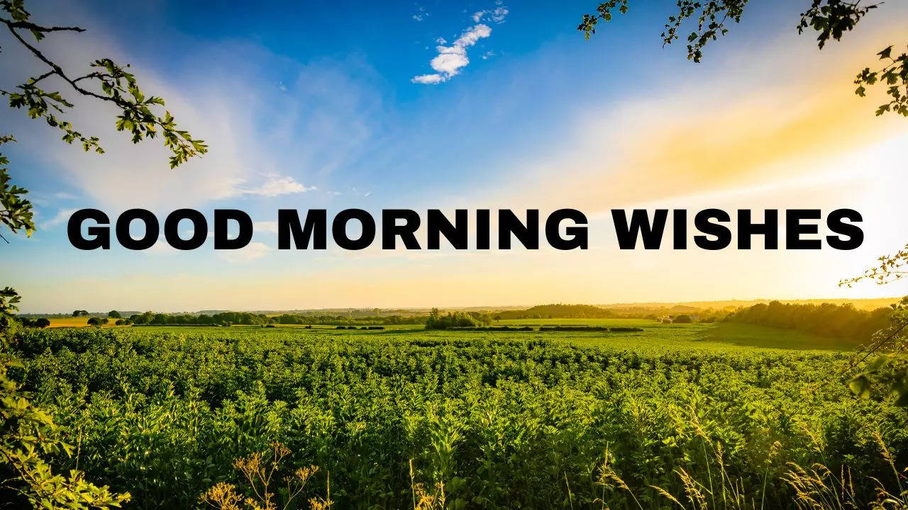 GOOD MORNING WISHES