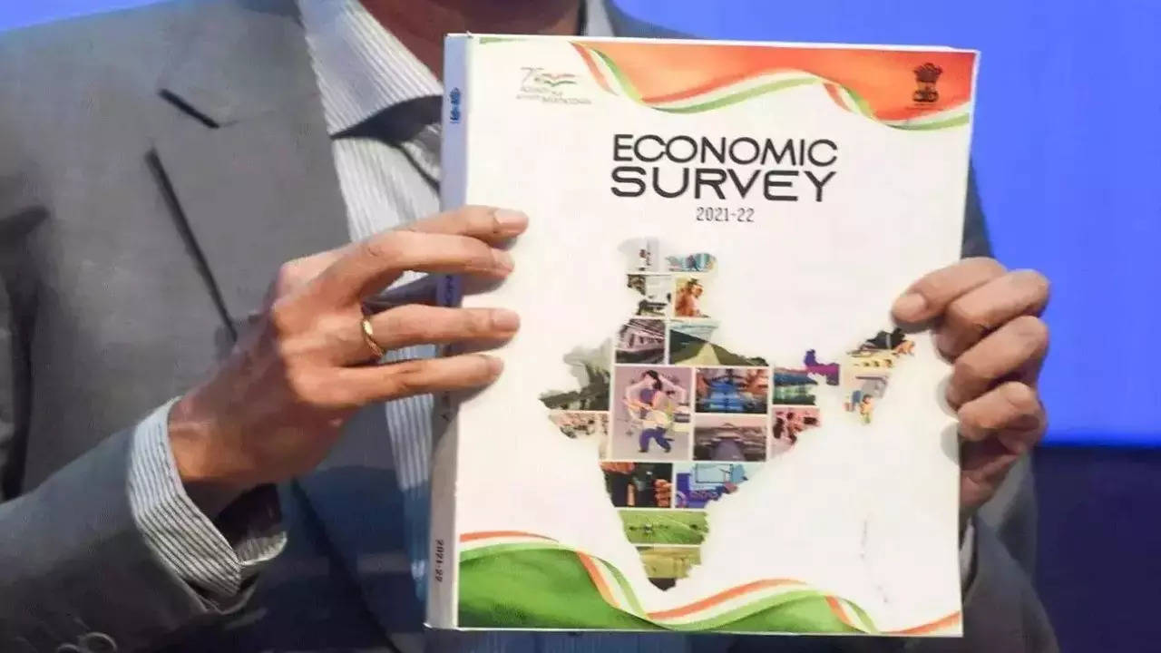 Economic Survey, Budget 2024, Interim Budget 2024