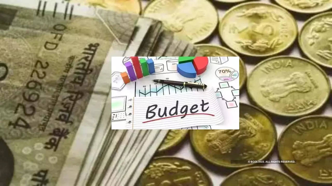 Populist Budget, Budget 2024