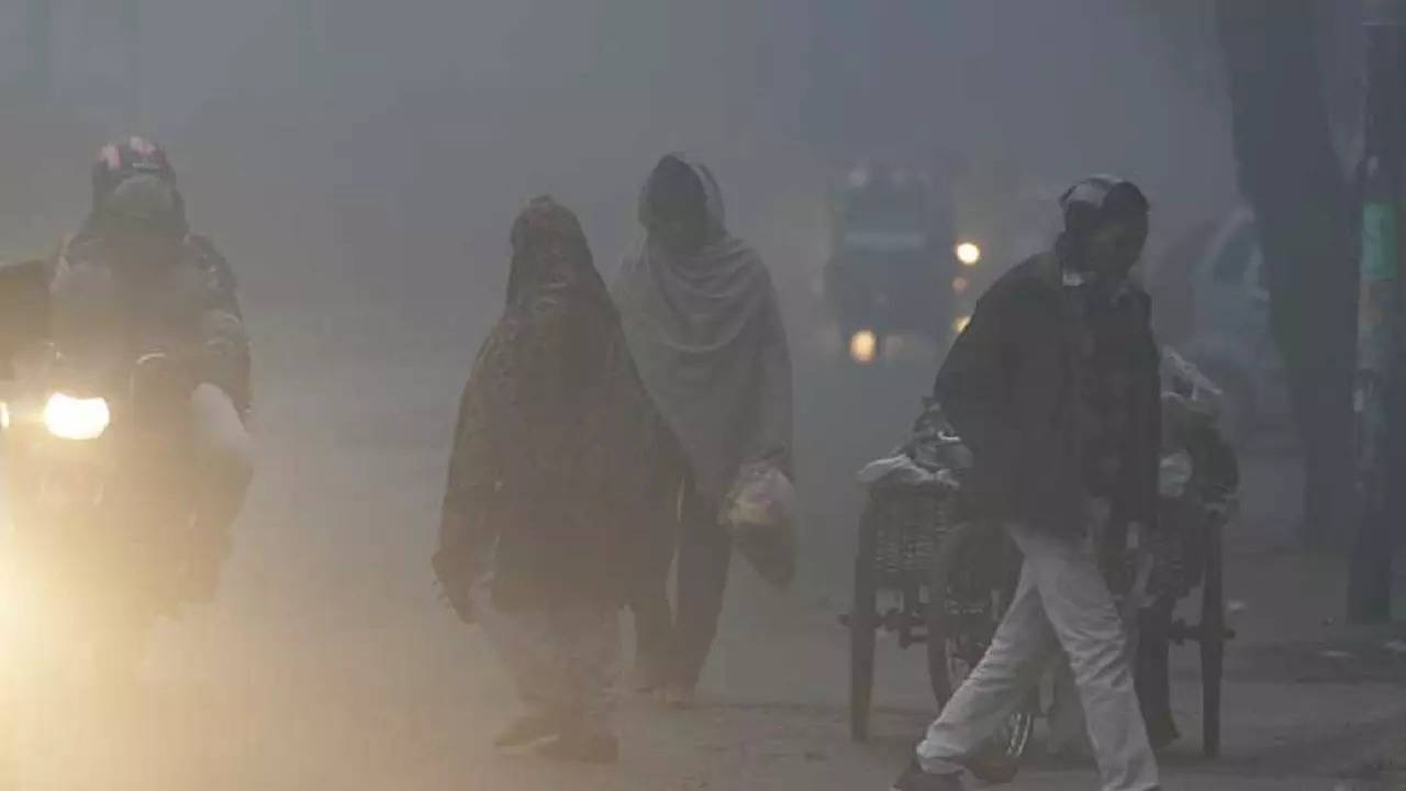 delhi cold wave