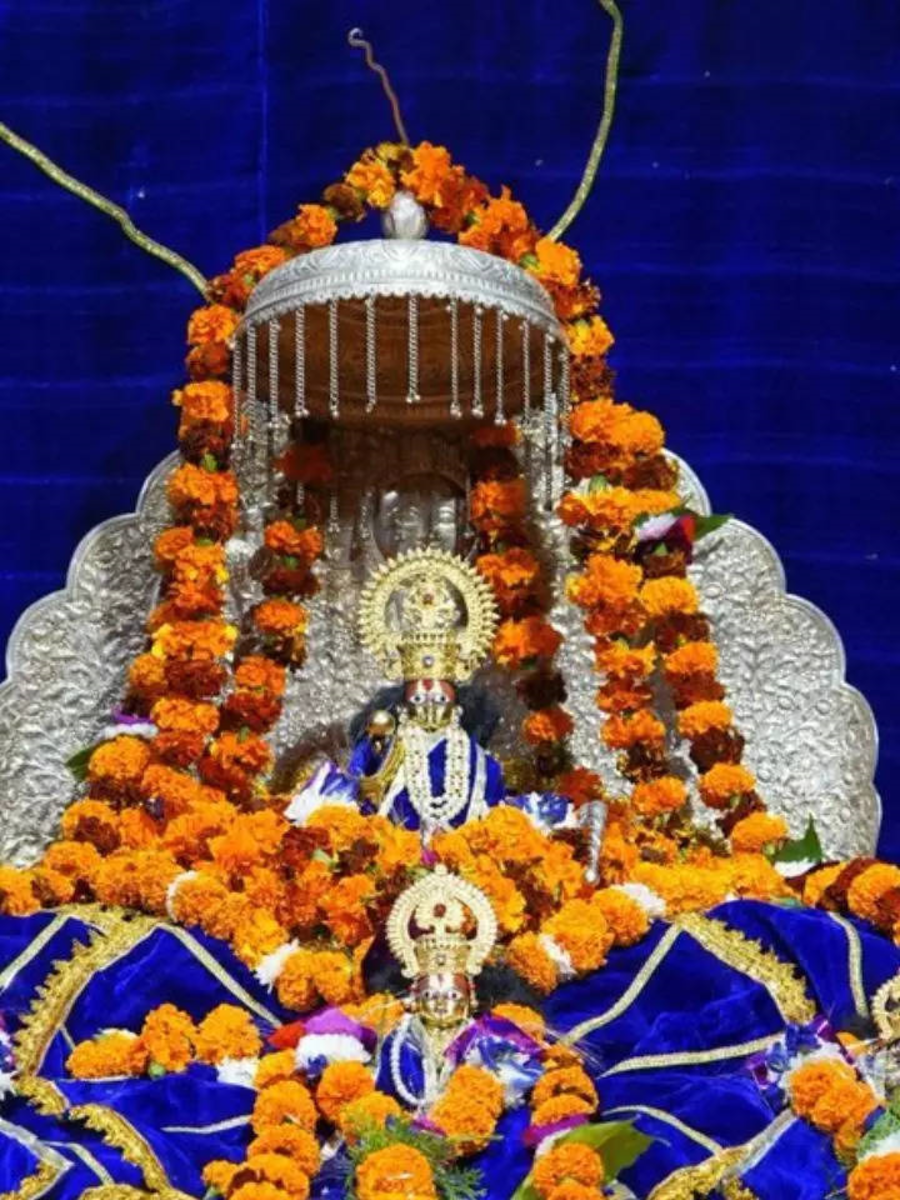 How To Book Ayodhya Ram Mandir Aarti Pass Online And Offline Available 