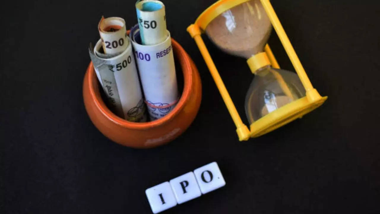 IPO Issue In Next Week