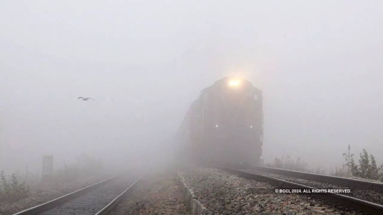 Due to Heavy Fog 21 Trains Are Running Late in Delhi See Whole List Here