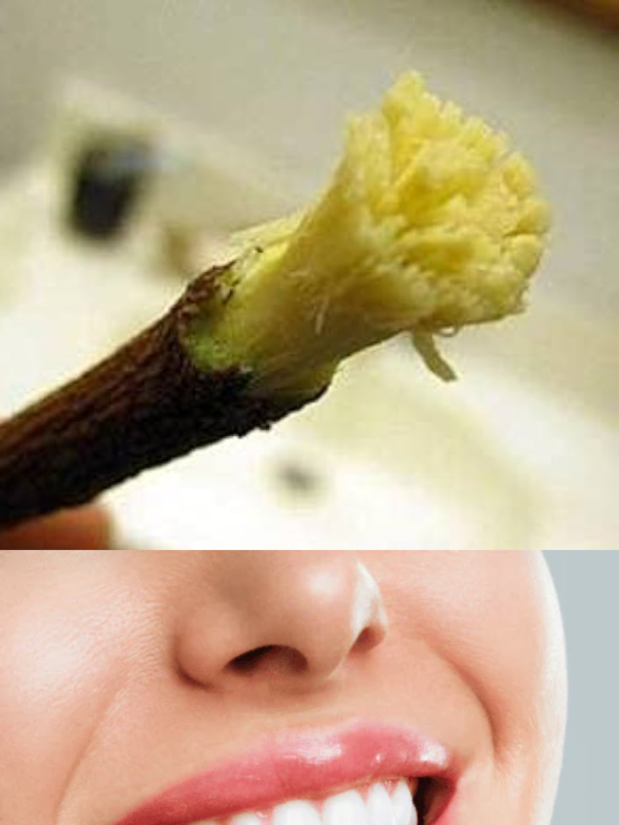 these are benefits of brushing teeth with neem stick कडुनिंबाच्या
