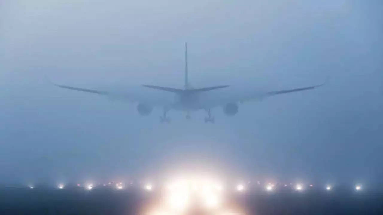 Delhi Airport Flight Delayed Due to Fog and Low Visibility Check Weather Update Here in Hindi