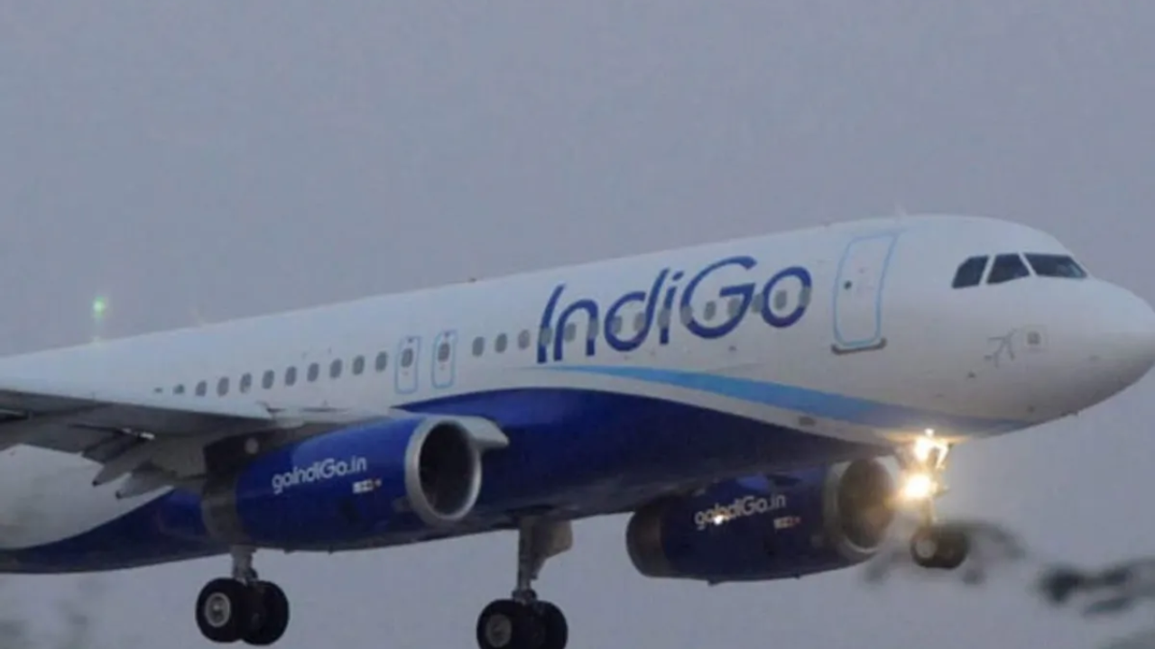 indigo