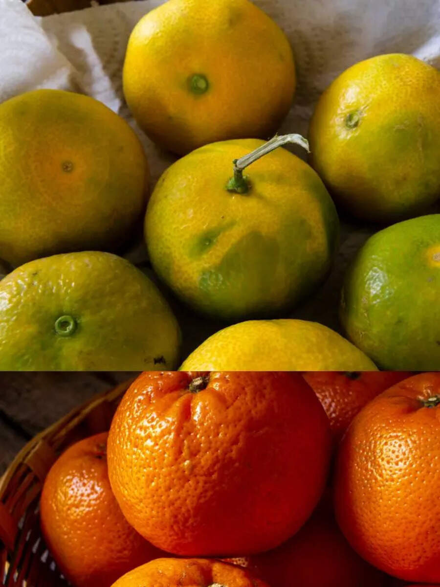 Kinnow Vs Orange Difference Between Orange and Kinnow, Which is More Beneficial For Health