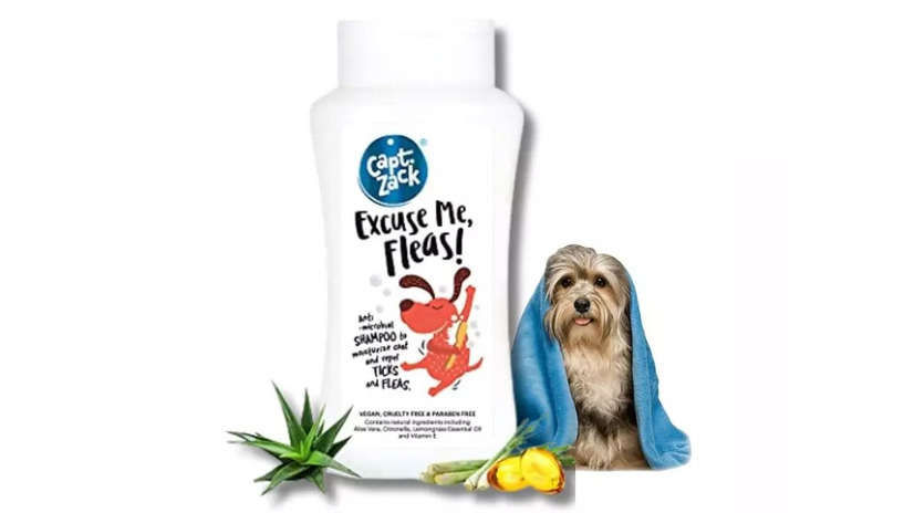 Say goodbye to ticks with these best tick shampoos for dogs