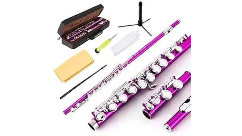 Best Flutes for Beginners: Top flutes for beginners to start their ...