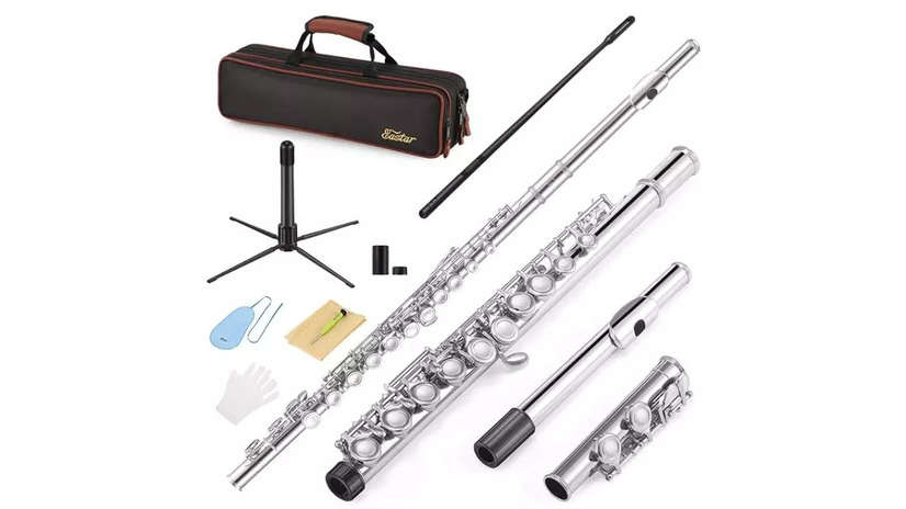 Best Flutes for Beginners: Top flutes for beginners to start their ...