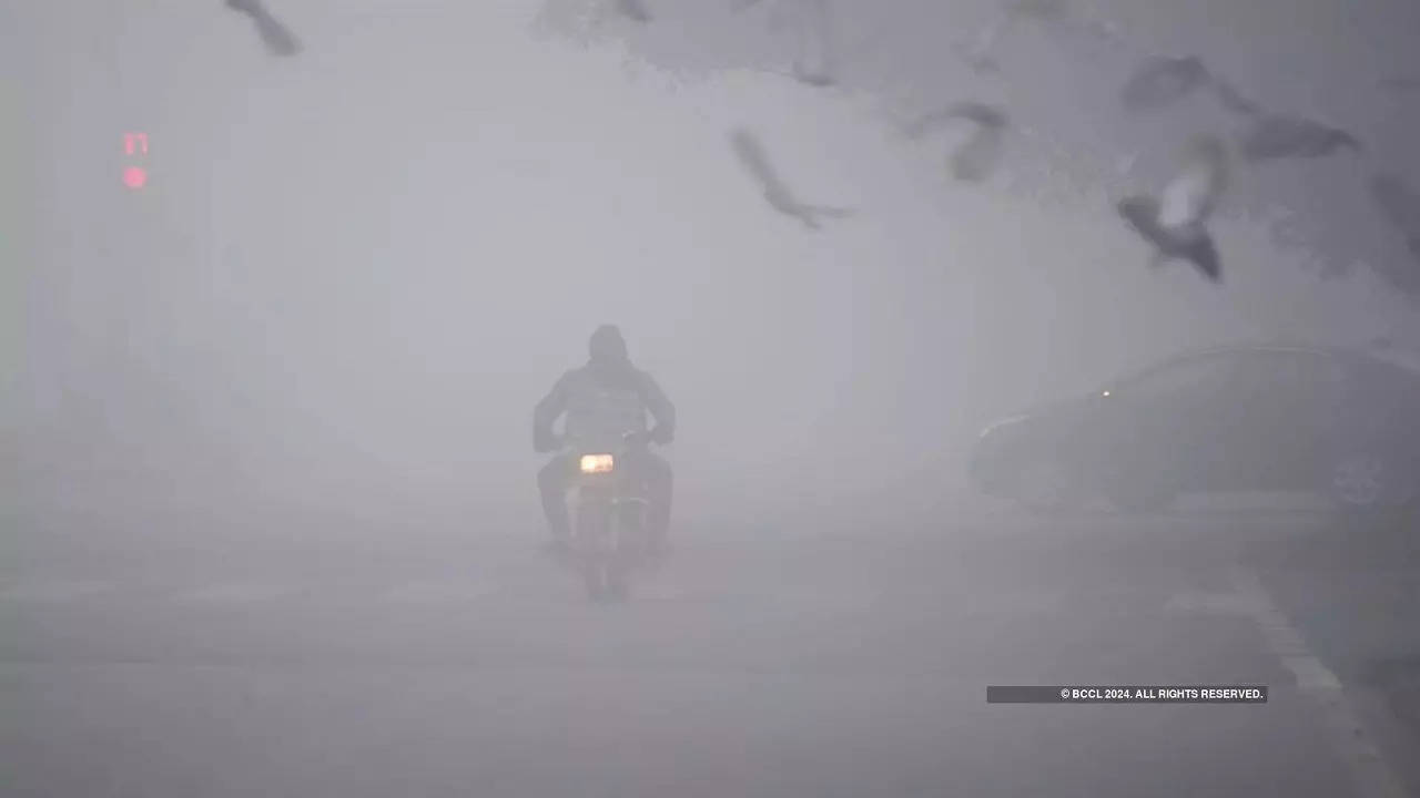 delhi fog