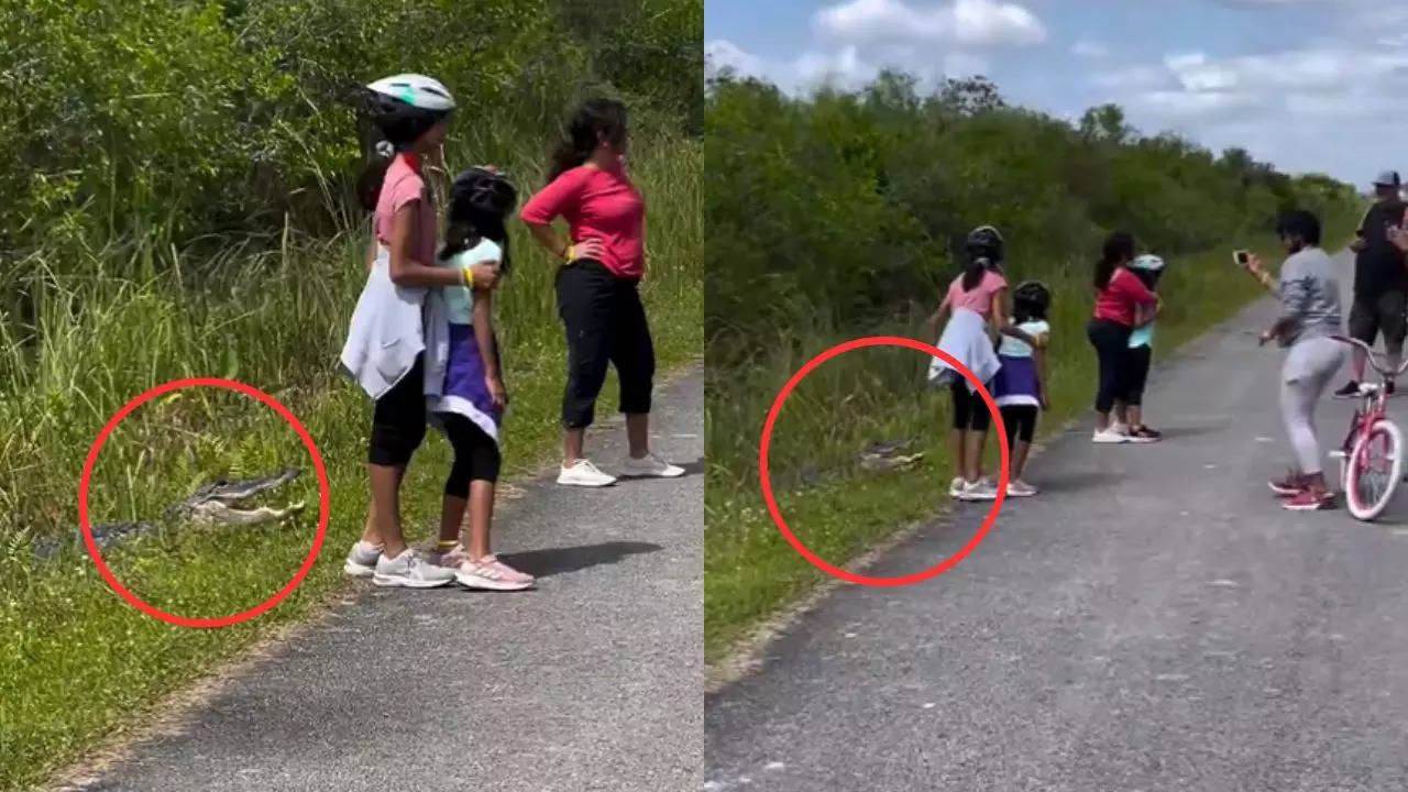 Parents Clicked Photograph With Crocodile