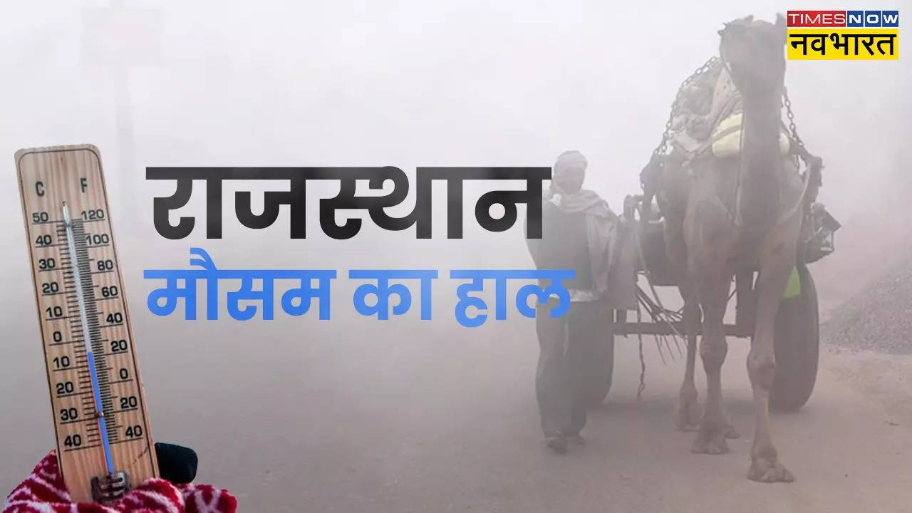 Rajasthan Weather Forecast Severe Cold in Mount Abu Temperature Reached in minus degree