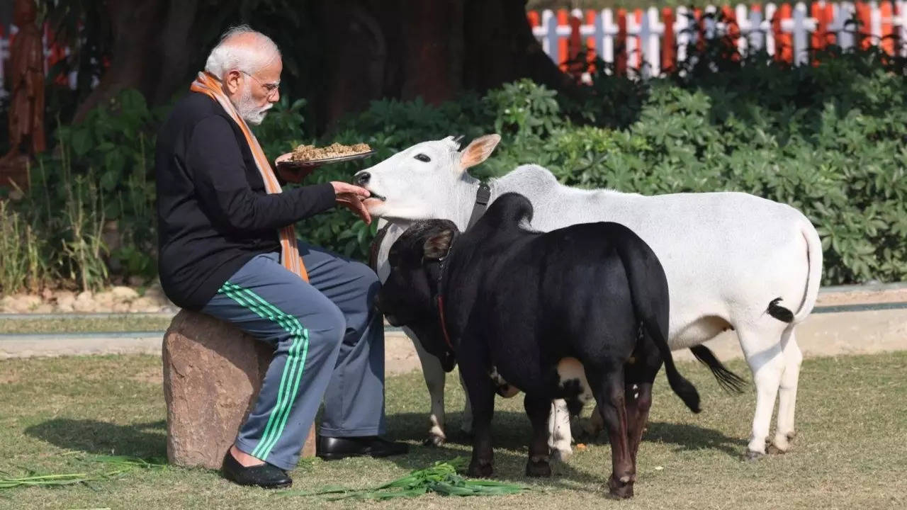 PM Modi