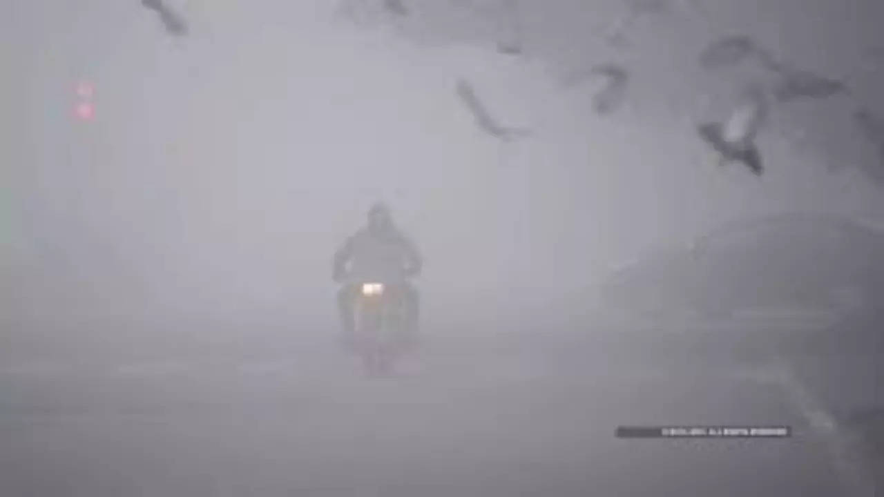 Weather Updates: पंजाब, हरियाणा और दिल्ली में बहुत घने कोहरे की स्थिति बनी रहने की जताई जा रही संभावना