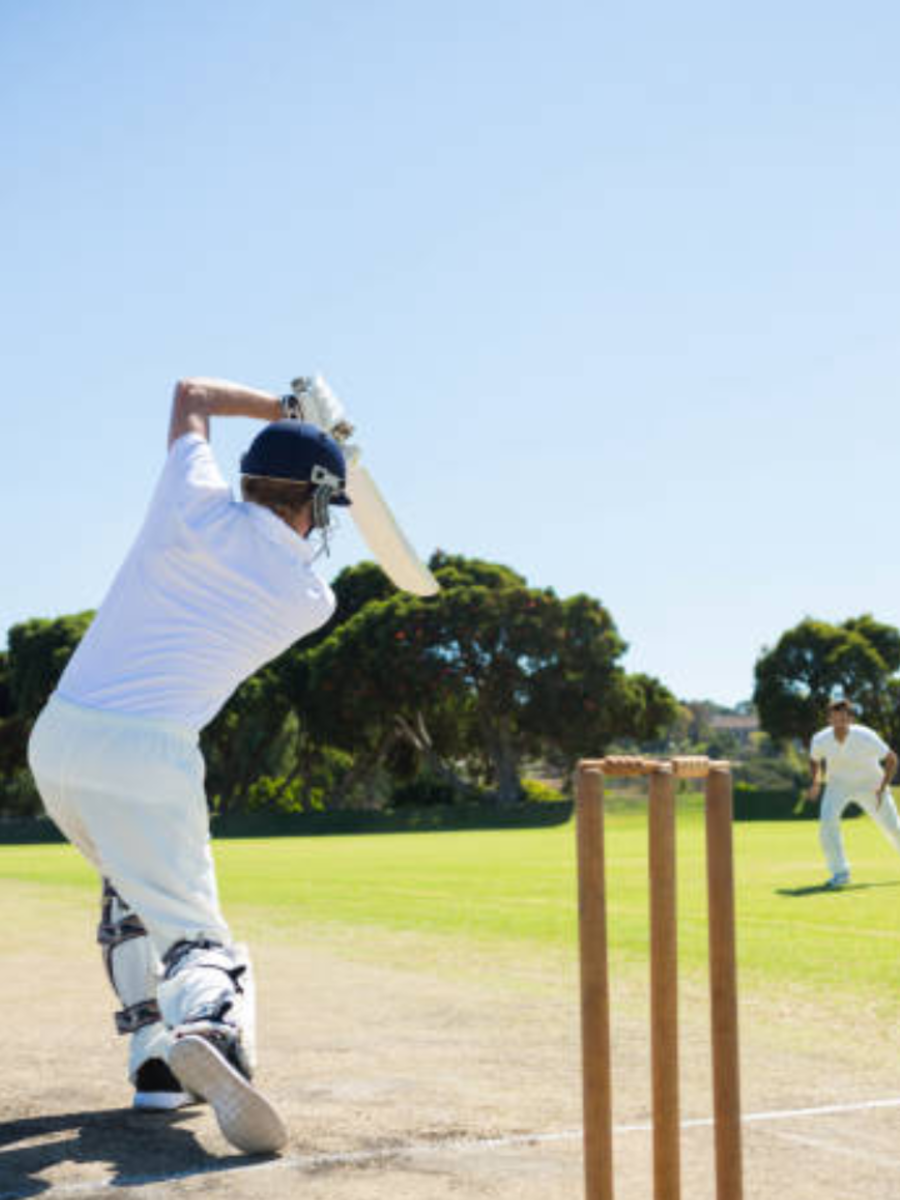 what is cricket called in sanskrit know shocking answer क्रिकेट को