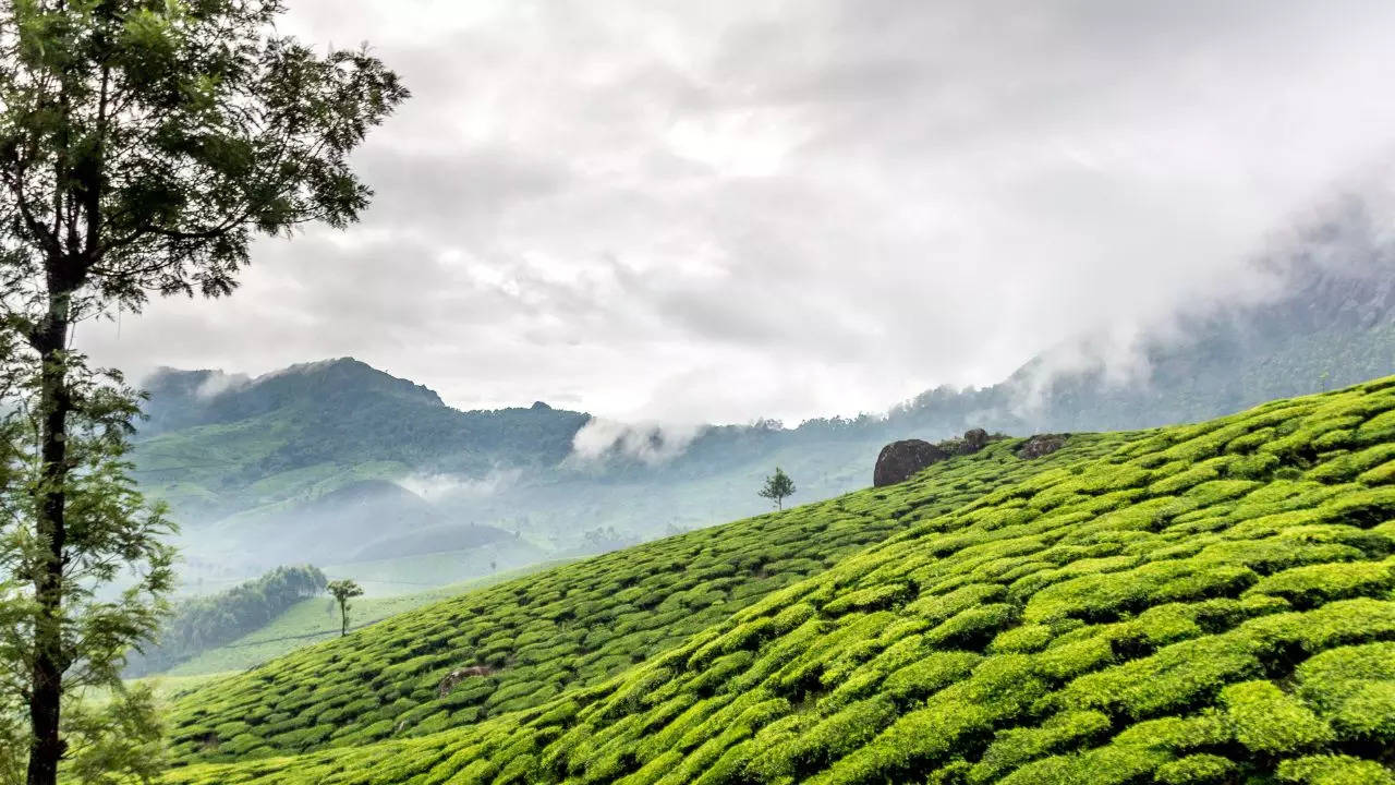 Munnar, ​IRCTC Valentine's Package, ​IRCTC Kerala Package