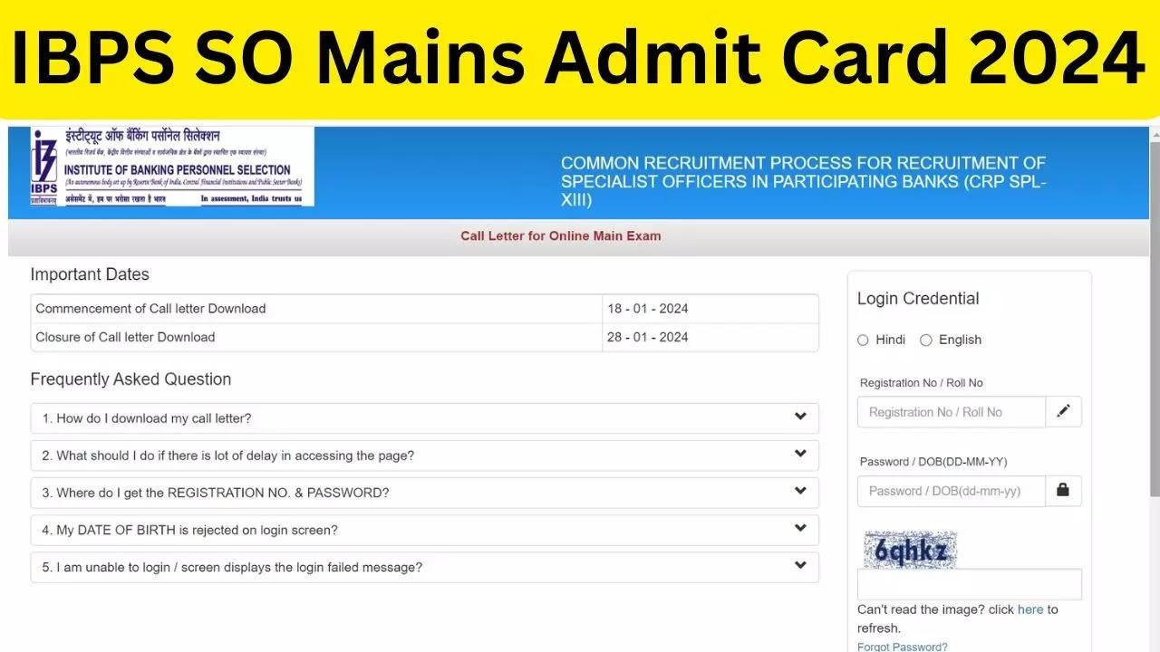 IBPS SO Mains Admit Card 2024