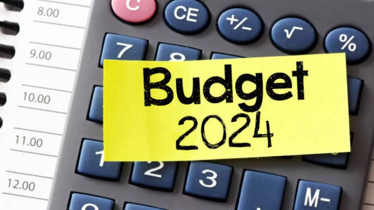 Budget 2024 Expectations