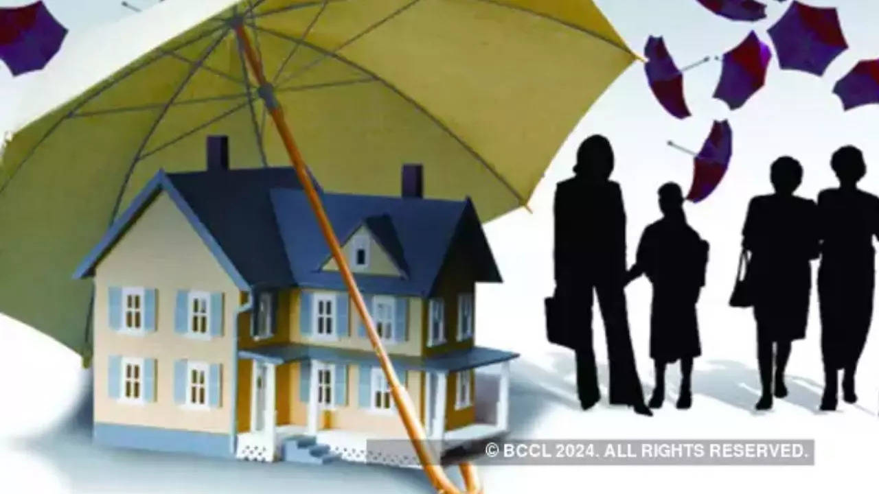 new home loan scheme, Budget 2024