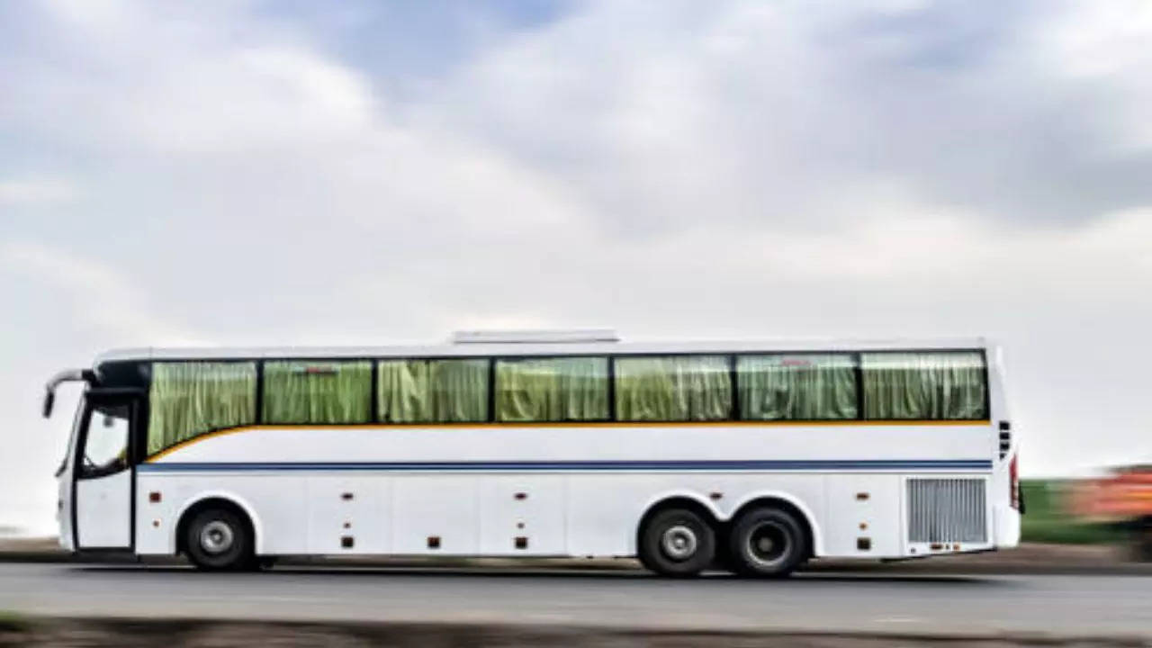 Bus