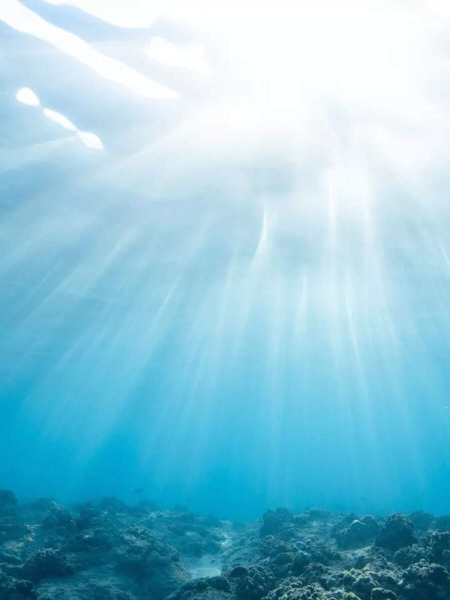 What is the difference between sea ocean bay and gulf Times Now Navbharat