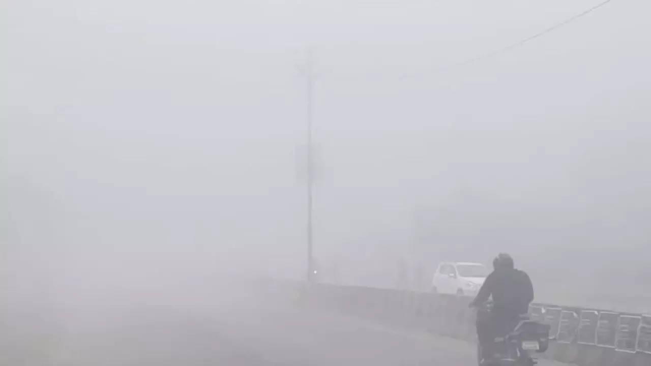 28 Jan 2024 Ghaziabad Weather Report IMD Issues Orange Alert of Fog in City