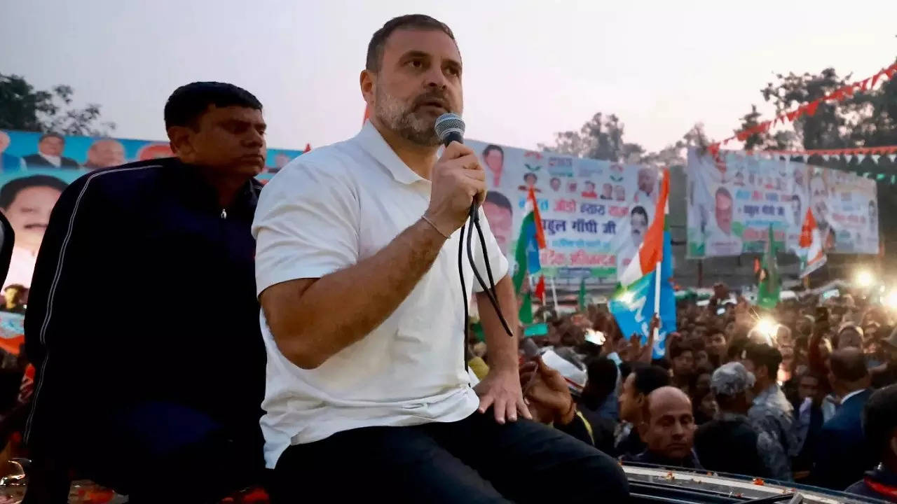 rahul gandhi bharat jodo yatra