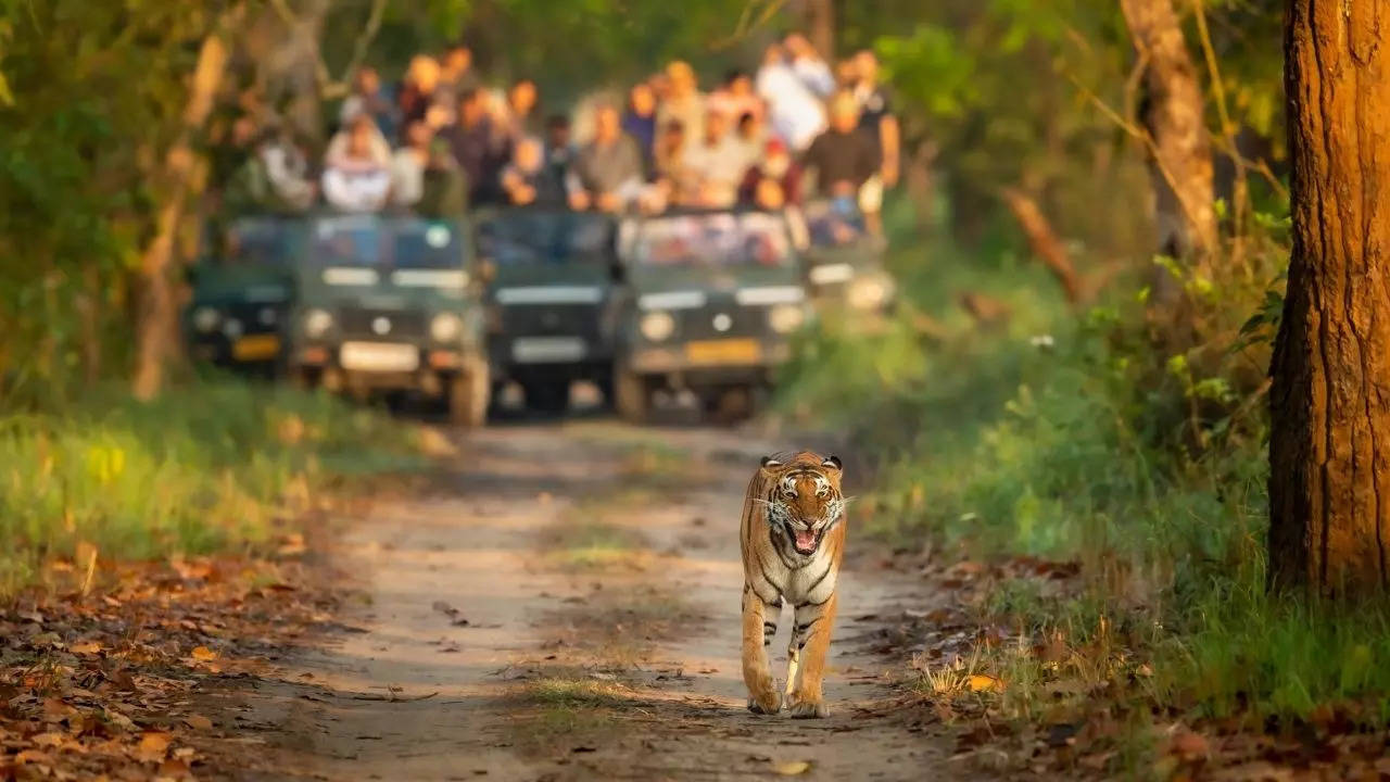 UP Government Developed another Tourist Spot in Pilibhit Tiger Reserve